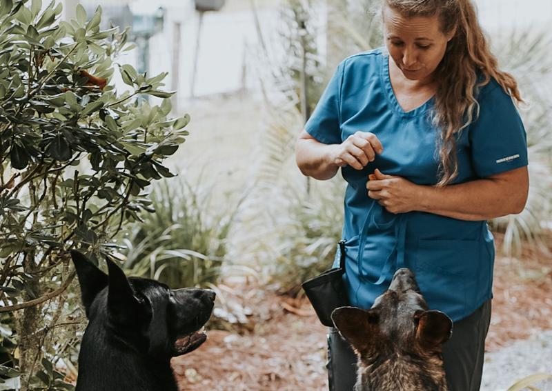 Carousel Slide 12: Lace Training