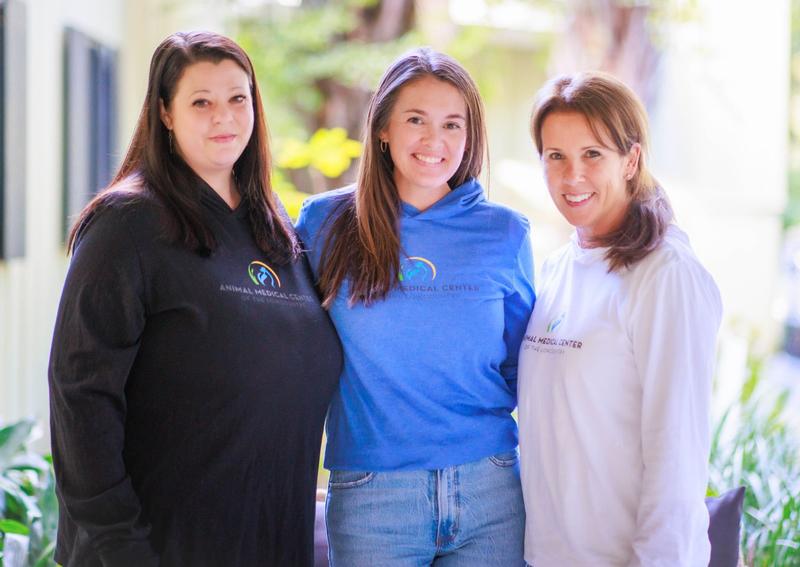 Carousel Slide 4: $Practce Reception Team