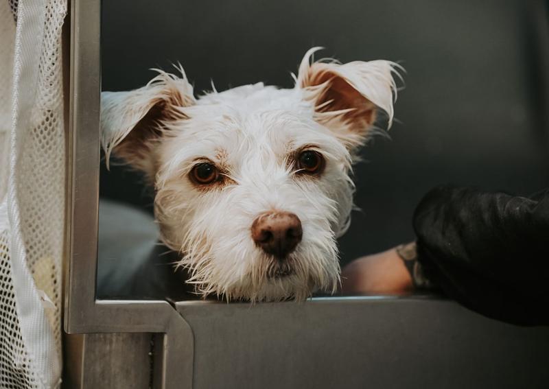 Carousel Slide 13: Getting a bath