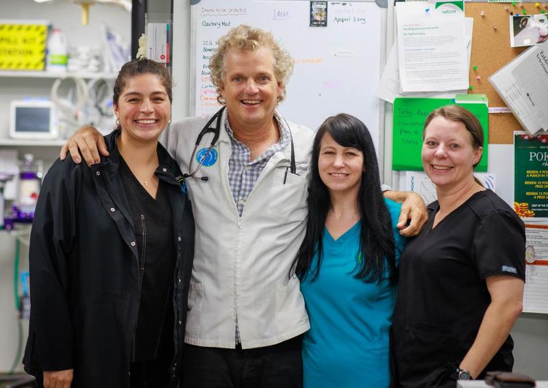 Carousel Slide 9: Animal Medical Center of the Lowcountry Veterinary Team