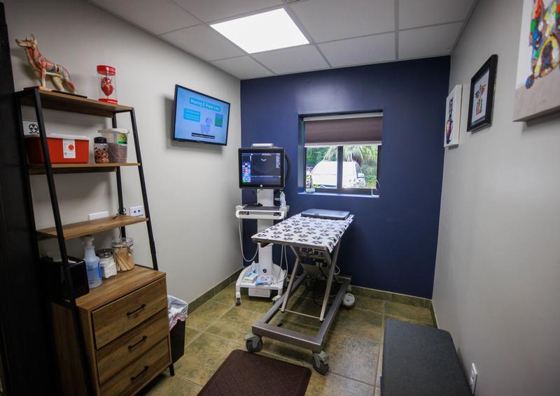 Carousel Slide 10: Animal Medical Center of the Lowcountry Exam Room