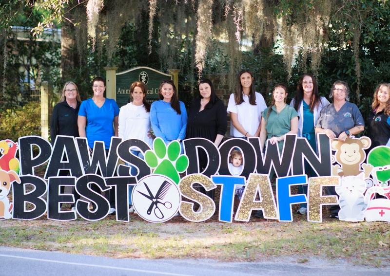 Carousel Slide 6: Animal Medical Center of the Lowcountry Veterinary Team