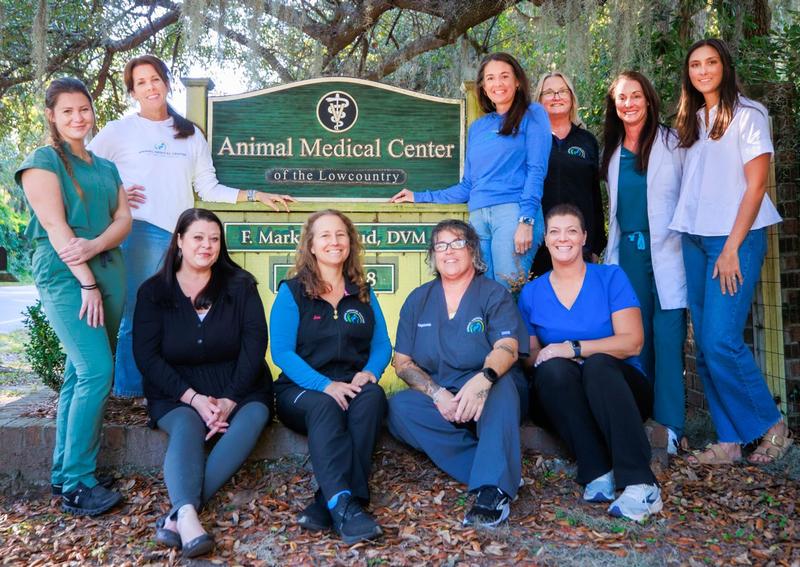 Carousel Slide 3: Animal Medical Center of the Lowcountry Veterinary Team