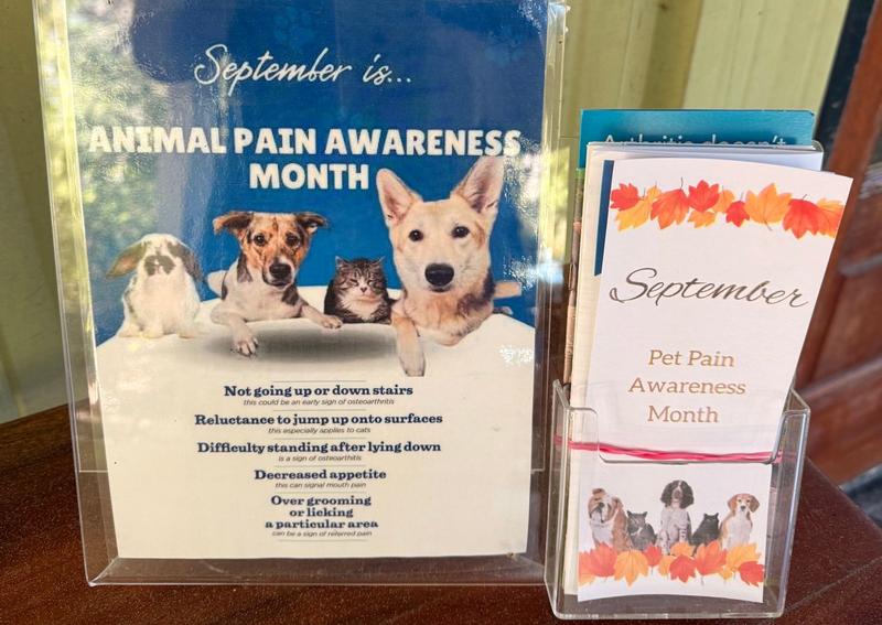 Carousel Slide 1: September is Pain Awareness Month!
