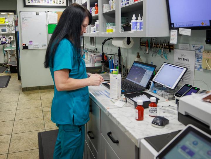 Xrays for Cats & Dogs