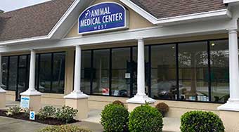 Animal Medical Center West, Beaufort, SC