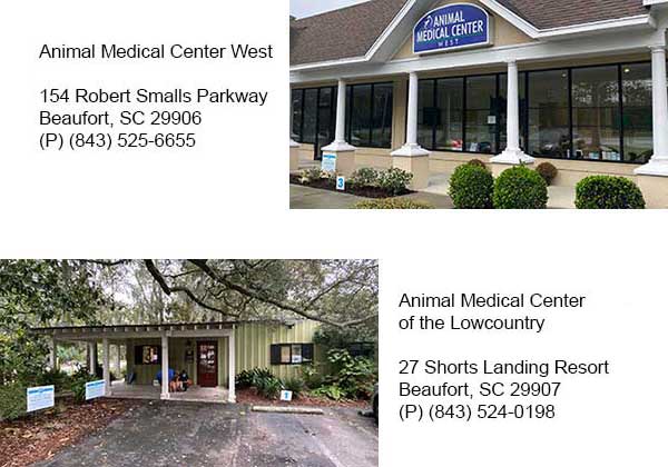 Animal Medical Center of the Lowcountry | Beaufort veterinarians